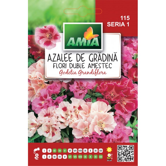 Seminte de flori azalee de gradina dubla amestec culori 0,5 gram Amia