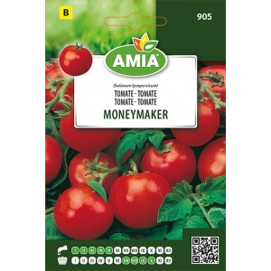 Seminte de Tomate Moneymaker AMIA | 1g