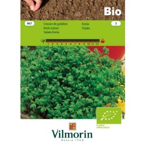 Seminte bio de creson de gradina Vilmorin 3 grame