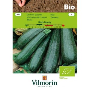 Seminte bio de dovlecei verzi Vilmorin noire maraichere 5 grame
