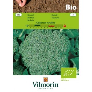 Seminte bio de broccoli Vilmorin Calabrese natalino 1 gram