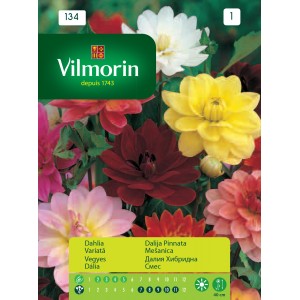 Seminte de flori dahlia variata 0,8 grame Vilmorin